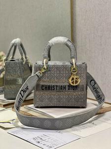 DIOR Handbags 596